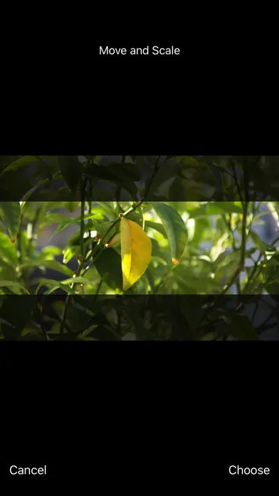 Best Photo Resizer应用截图